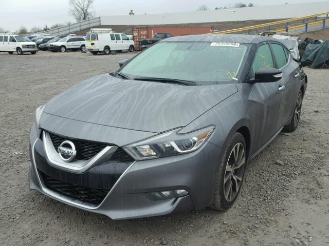 1N4AA6AP4HC383036 - 2017 NISSAN MAXIMA 3.5 GRAY photo 2