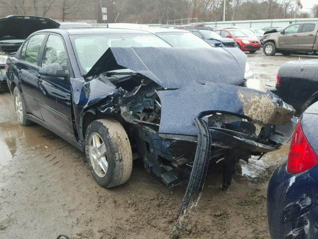 1G1ZT548X4F223489 - 2004 CHEVROLET MALIBU LS Qara foto 1