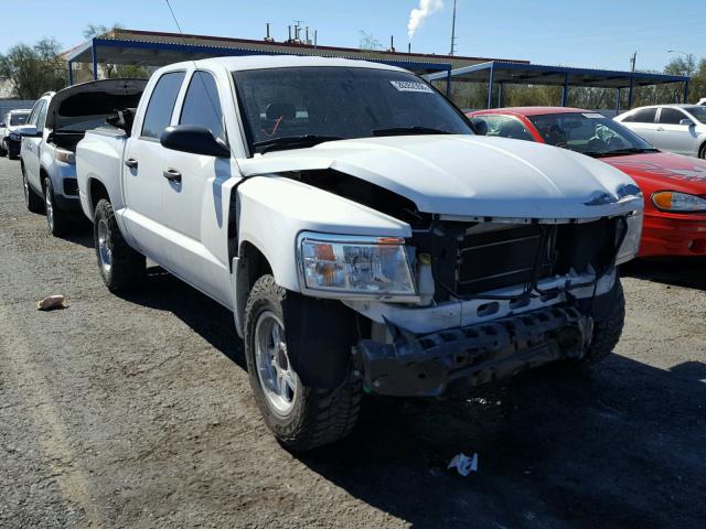 1D7HE48K18S506329 - 2008 DODGE DAKOTA QUA WHITE photo 1