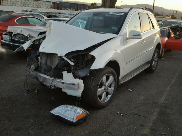 4JGBB8GBXBA731939 - 2011 MERCEDES-BENZ ML 350 4MA WHITE photo 2