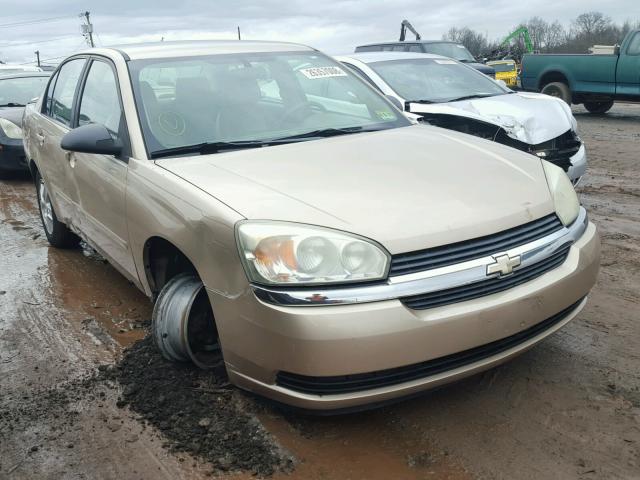 1G1ZT54805F277384 - 2005 CHEVROLET MALIBU LS GOLD photo 1