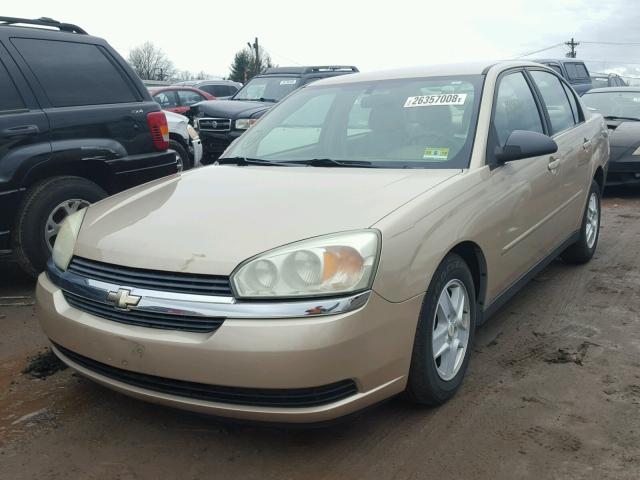 1G1ZT54805F277384 - 2005 CHEVROLET MALIBU LS GOLD photo 2