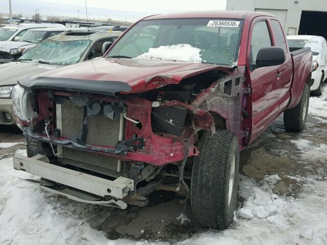 5TEUU42N67Z452454 - 2007 TOYOTA TACOMA ACC RED photo 2