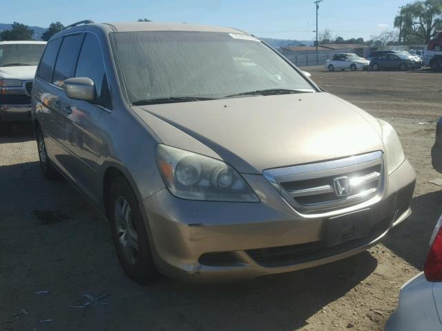 5FNRL38406B093152 - 2006 HONDA ODYSSEY EX BEIGE photo 1