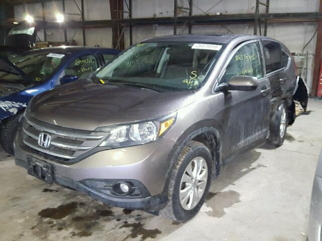 5J6RM4H58CL003101 - 2012 HONDA CR-V EX GRAY photo 2