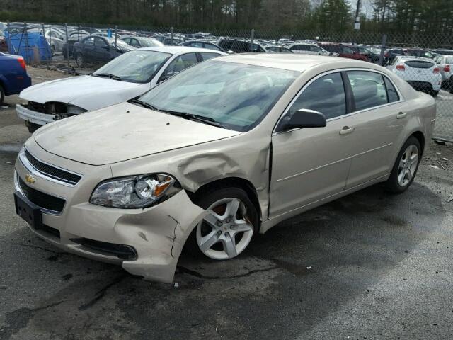1G1ZB5EB0AF268059 - 2010 CHEVROLET MALIBU LS Bej foto 2