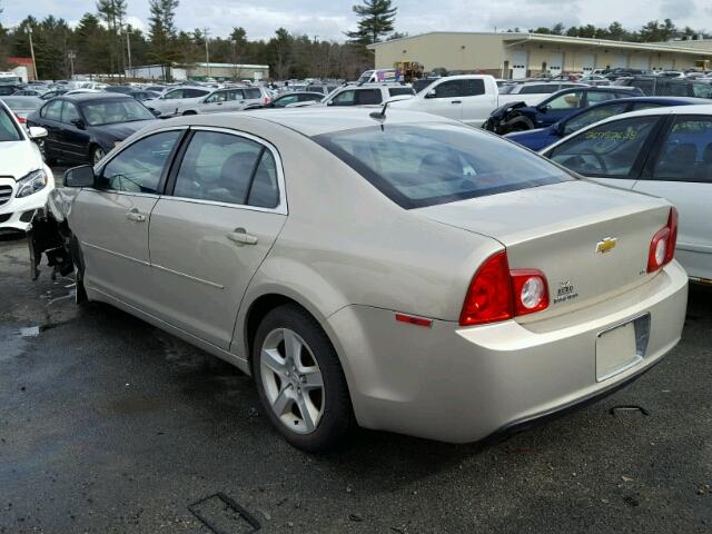 1G1ZB5EB0AF268059 - 2010 CHEVROLET MALIBU LS Bej foto 3