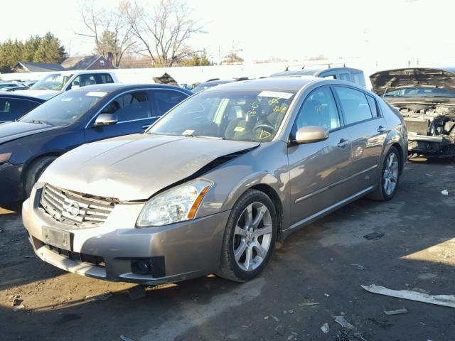 1N4BA41E47C841261 - 2007 NISSAN MAXIMA SE GOLD photo 2