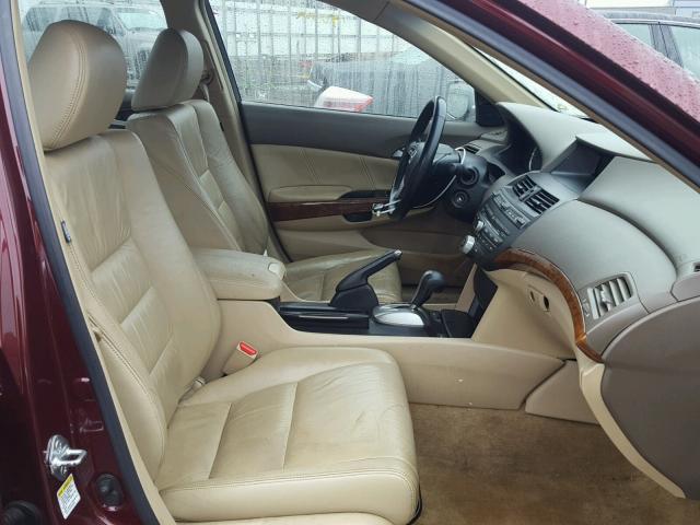 1HGCP26879A089303 - 2009 HONDA ACCORD EXL BURGUNDY photo 5