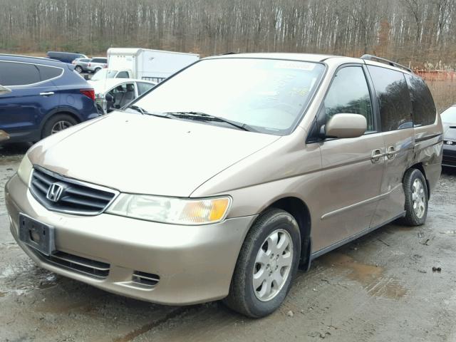 5FNRL18933B065132 - 2003 HONDA ODYSSEY EX GOLD photo 2