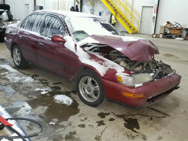 1NXBB02E4TZ365205 - 1996 TOYOTA COROLLA DX MAROON photo 1