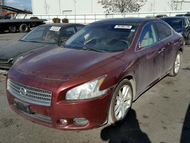 1N4AA5AP6BC847932 - 2011 NISSAN MAXIMA S RED photo 2