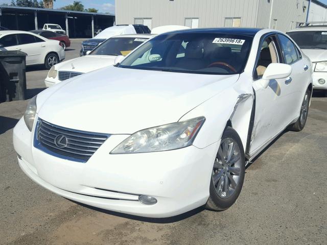 JTHBJ46G082223767 - 2008 LEXUS ES 350 WHITE photo 2