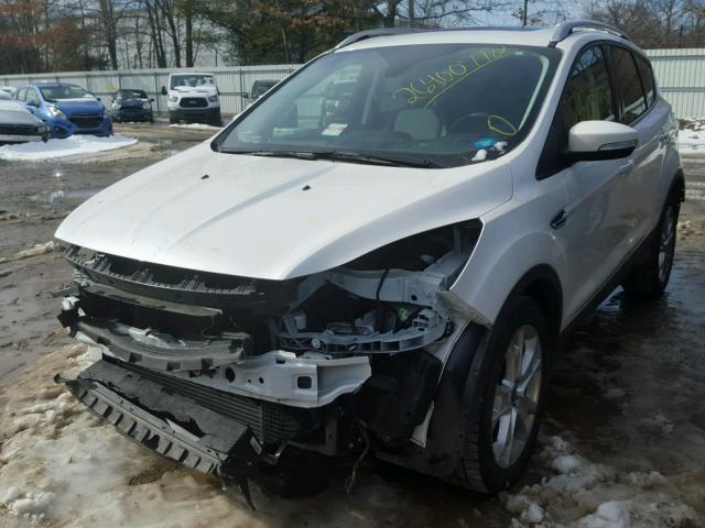 1FMCU9J97GUA16343 - 2016 FORD ESCAPE TIT WHITE photo 2