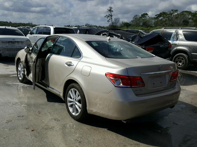 JTHBK1EG9A2408614 - 2010 LEXUS ES 350 BEIGE photo 3