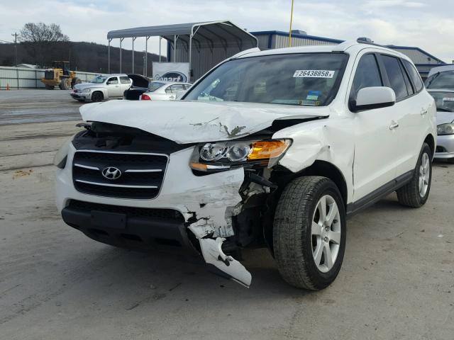 5NMSH13E59H279523 - 2009 HYUNDAI SANTA FE S WHITE photo 2