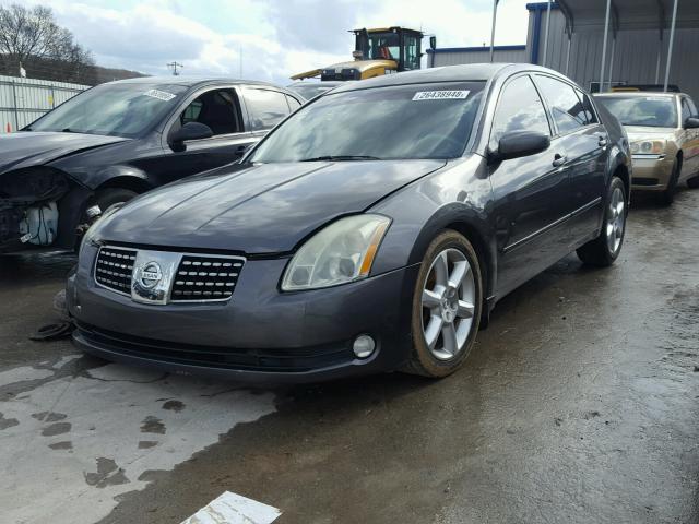 1N4BA41E05C863691 - 2005 NISSAN MAXIMA SE GRAY photo 2