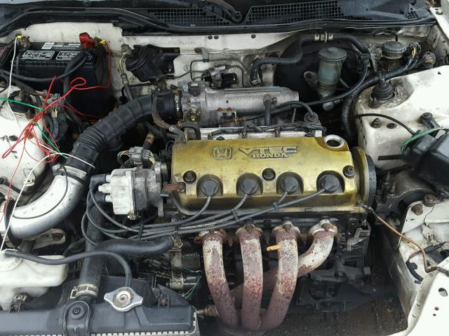 1HGEJ1124SL064991 - 1995 HONDA CIVIC EX თეთრი ფოტო 7