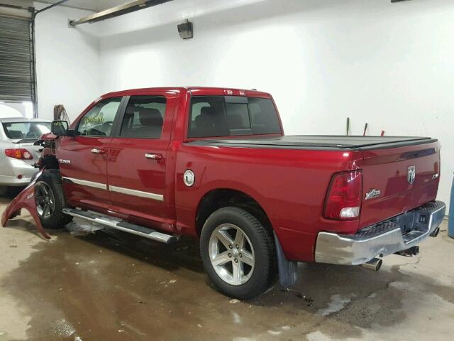 1D3HV13T09S768165 - 2009 DODGE RAM 1500 RED photo 3