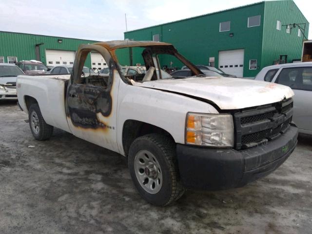 1GCEC14C28E103183 - 2008 CHEVROLET SILVERADO WHITE photo 1