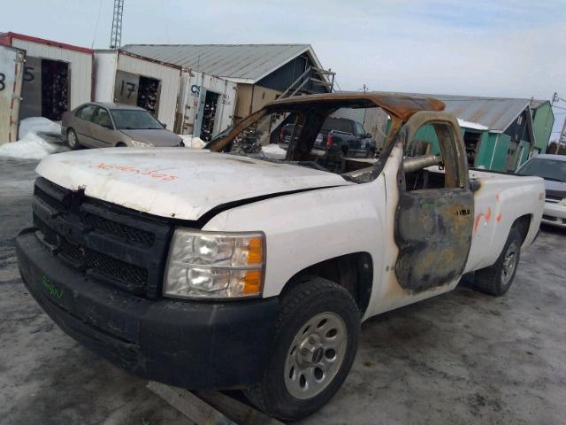 1GCEC14C28E103183 - 2008 CHEVROLET SILVERADO WHITE photo 2