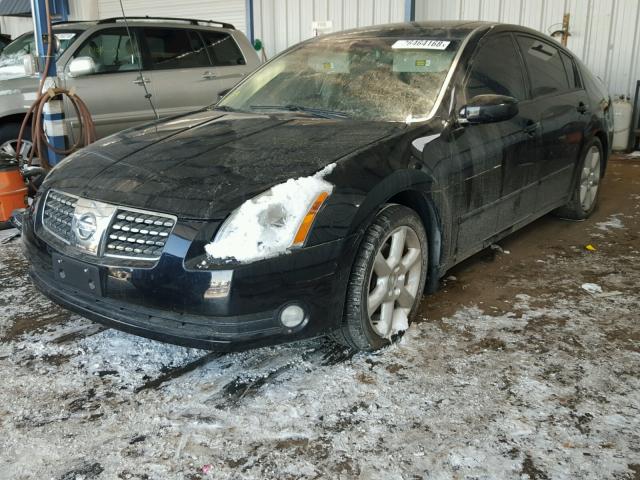 1N4BA41E26C853732 - 2006 NISSAN MAXIMA SE BLACK photo 2