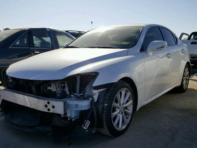 JTHBF5C24A5108951 - 2010 LEXUS IS 250 WHITE photo 2