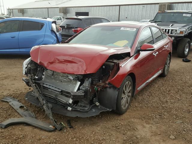 5NPE34AF6GH363794 - 2016 HYUNDAI SONATA SPO RED photo 2