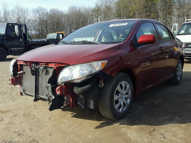 2T1BU4EE1AC346980 - 2010 TOYOTA COROLLA BA RED photo 2