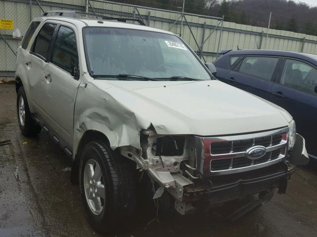 1FMCU03729KC85288 - 2009 FORD ESCAPE XLT SILVER photo 1