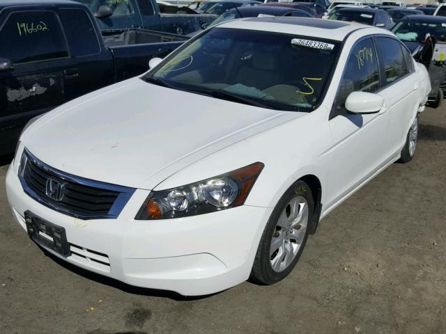 1HGCP26898A164100 - 2008 HONDA ACCORD EXL WHITE photo 2