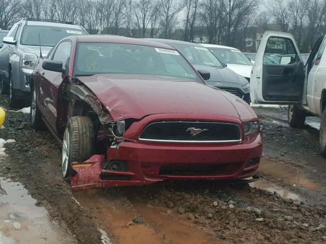 1ZVBP8AM9E5308201 - 2014 FORD MUSTANG RED photo 1