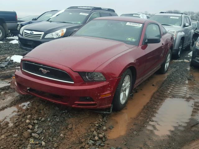 1ZVBP8AM9E5308201 - 2014 FORD MUSTANG RED photo 2