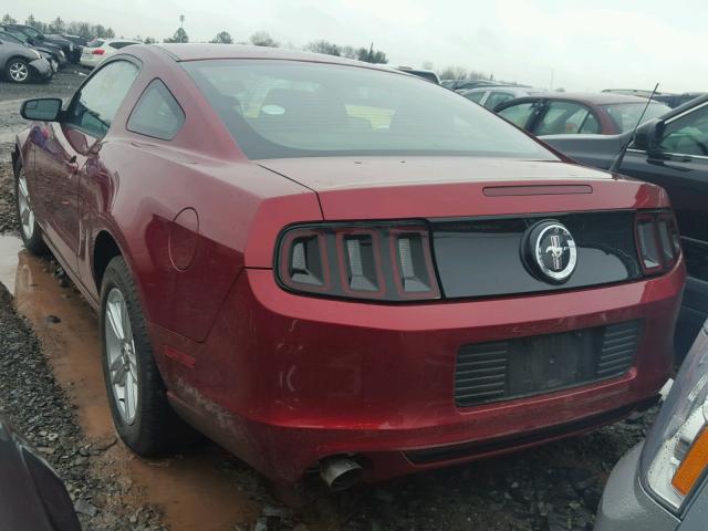 1ZVBP8AM9E5308201 - 2014 FORD MUSTANG RED photo 3