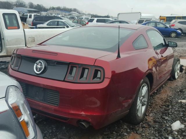 1ZVBP8AM9E5308201 - 2014 FORD MUSTANG RED photo 4