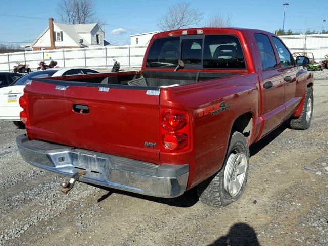 1D7HW48NX6S540063 - 2006 DODGE DAKOTA QUA RED photo 4