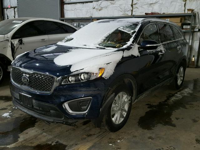 5XYPGDA53HG336002 - 2017 KIA SORENTO LX BLUE photo 2