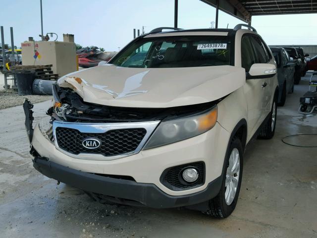 5XYKU4A25BG033528 - 2011 KIA SORENTO EX CREAM photo 2