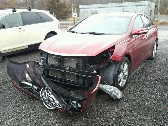 5NPEC4AC8DH627566 - 2013 HYUNDAI SONATA SE RED photo 2