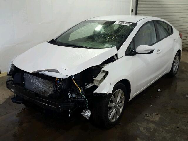 KNAFX4A66G5610236 - 2016 KIA FORTE LX WHITE photo 2