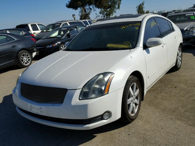 1N4BA41E75C868211 - 2005 NISSAN MAXIMA SE WHITE photo 2