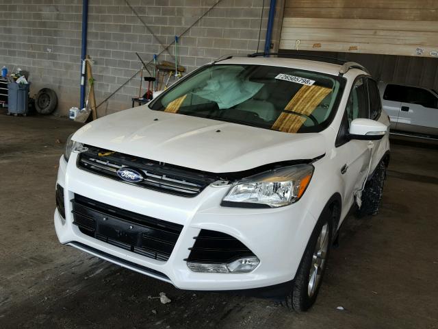 1FMCU0J94EUB26873 - 2014 FORD ESCAPE TIT WHITE photo 2