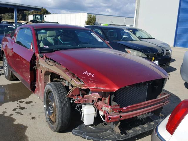 1ZVBP8AM9E5206235 - 2014 FORD MUSTANG RED photo 1