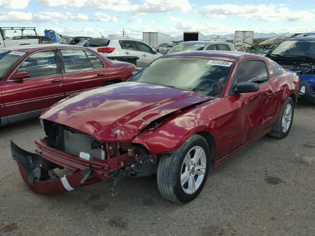 1ZVBP8AM6E5217600 - 2014 FORD MUSTANG RED photo 2