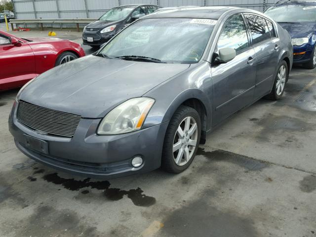 1N4BA41E15C873209 - 2005 NISSAN MAXIMA SE GRAY photo 2