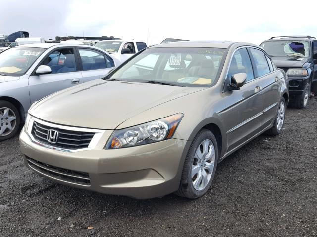 1HGCP2F80AA164850 - 2010 HONDA ACCORD EXL GOLD photo 2