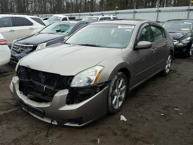 1N4BA41E07C809195 - 2007 NISSAN MAXIMA SE GOLD photo 2