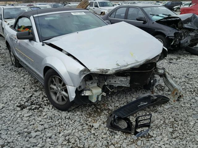 1ZVFT84N465189699 - 2006 FORD MUSTANG SILVER photo 1