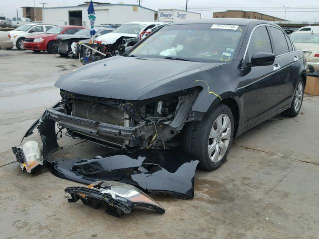 1HGCP36878A082114 - 2008 HONDA ACCORD EXL BLACK photo 2