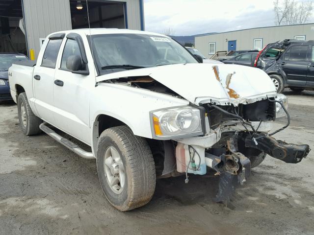 1D7HW48N35S168905 - 2005 DODGE DAKOTA QUA WHITE photo 1